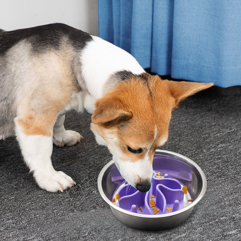 Silicone Slow Feeder Dog Bowls Insert