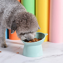 Load image into Gallery viewer, Two Elevated Cat Dog Bowls
