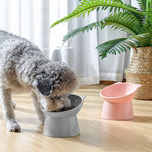 Load image into Gallery viewer, Two Elevated Cat Dog Bowls
