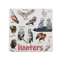 Load image into Gallery viewer, Six Funny Bird Pun Coasters
