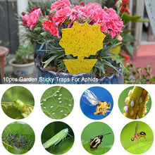 Load image into Gallery viewer, 20Pcs Flower Sticky Trap Insect Killer Set
