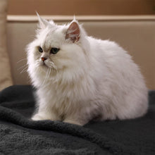 Load image into Gallery viewer, Pet Winter Warm Fluffy Throw Blanket
