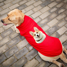 Load image into Gallery viewer, Personalised Photo Dog Vest
