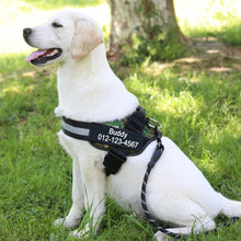Load image into Gallery viewer, Personalized Dog Harness

