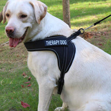 Load image into Gallery viewer, Custom Name Dog Harness Vest
