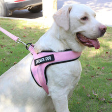 Load image into Gallery viewer, Custom Name Dog Harness Vest
