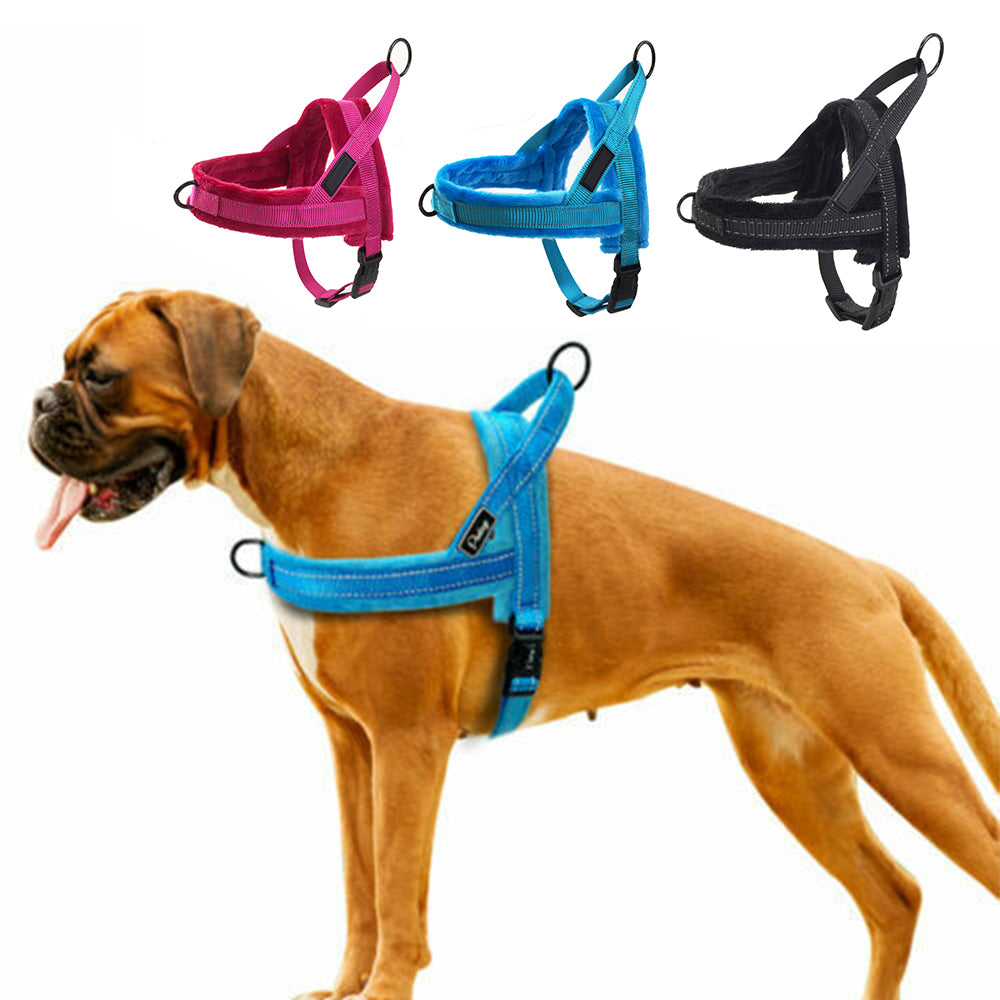 No Pull Dog Pet Harness and Leash Set – fancycustomize